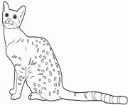 chat Mau egyptien dessin à colorier