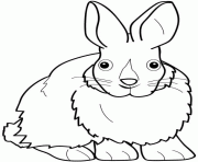 paques lapin dessin à colorier
