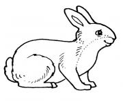 paques lapin dessin à colorier