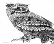 Coloriage difficile adulte hibou animaux dessin