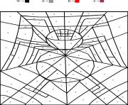 magique araignee spider dessin à colorier