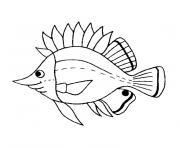 poisson mer dessin à colorier