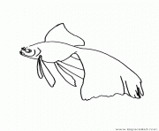 poisson 236 dessin à colorier