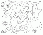 poisson 167 dessin à colorier