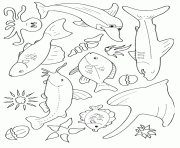 Coloriage poisson Acipenseriformes dans les eaux douces du Canada dessin