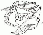 Coloriage poisson barracuda dessin