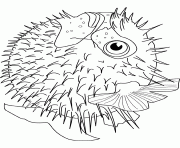 blowfish dessin à colorier