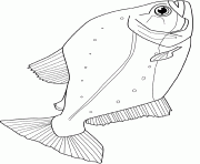 Coloriage poisson 159 dessin