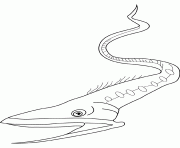 anguille gulper dessin à colorier