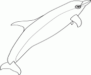 baleine bottlenose dessin à colorier