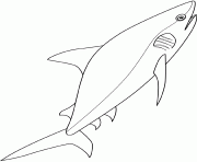requin dessin à colorier