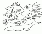 poisson 66 dessin à colorier