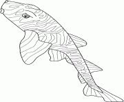 zebra bullhead shark dessin à colorier