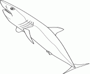 mako shark dessin à colorier