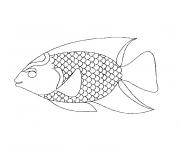 Coloriage poisson 6 dessin