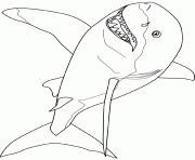 great white shark dessin à colorier