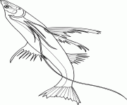 Coloriage poisson dessin