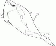 Coloriage quatre poisson avril magnifique dessin