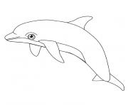 dauphin commun dessin à colorier