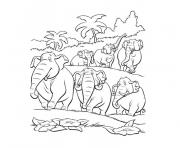 jungle et elephants dessin à colorier