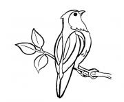 oiseau perche dessin à colorier