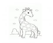 girafe pet shop dessin à colorier