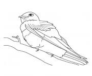 oiseaux migrateurs dessin à colorier