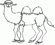 chameau qui te regarde dessin à colorier