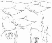 trois dauphins sous la mer dessin à colorier