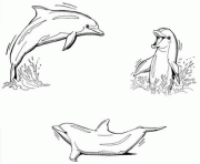 trois dauphins font une ronde dessin à colorier