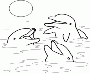 trois dauphins au soleil dessin à colorier