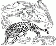 un guepard avec les animaux de la jungle dessin à colorier