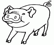 dessin d un porc dessin à colorier
