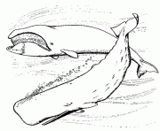 baleines dessin à colorier