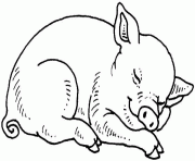 cochon qui dort dessin à colorier