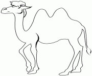 chameau de profil dessin à colorier