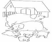 des cochons a la ferme dessin à colorier