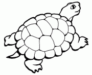 tortue avec queue dessin à colorier