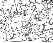 Coloriage tortue en foret