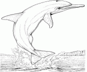 dauphin saute hors de la mer dessin à colorier