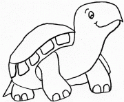 tortue dessin à colorier