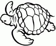 tortue marine dessin à colorier