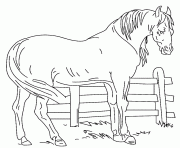 cheval et barriere dessin à colorier