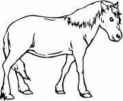 Coloriage cheval facile maternelle dessin