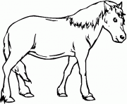 Coloriage cheval de cartoon dessin