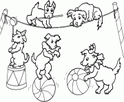 Coloriage cirque chiens equilibriste