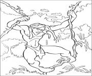 Coloriage tarzan 129 dessin