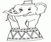 Coloriage petit elephant de cirque dessin