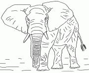 grand elephant avec defense dessin à colorier