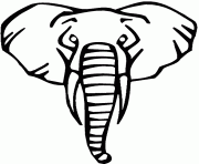 tete d elephant de face dessin à colorier